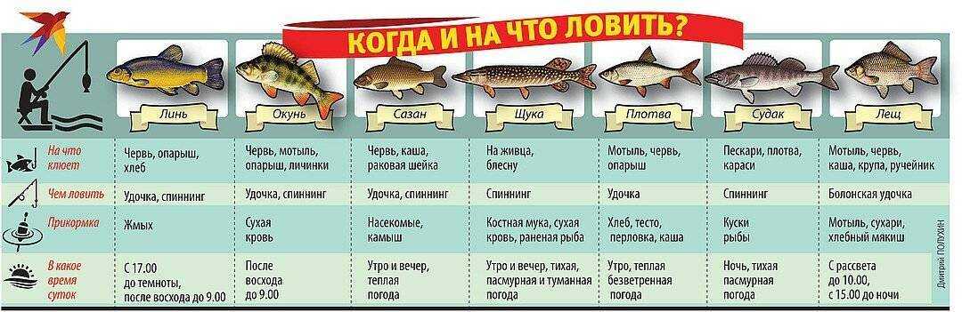 Слободское (озеро, витебская область) — рувики