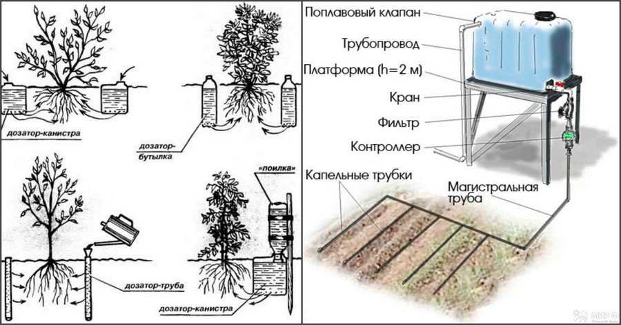 Капельный полив жук от емкости и от водопровода чем отличается