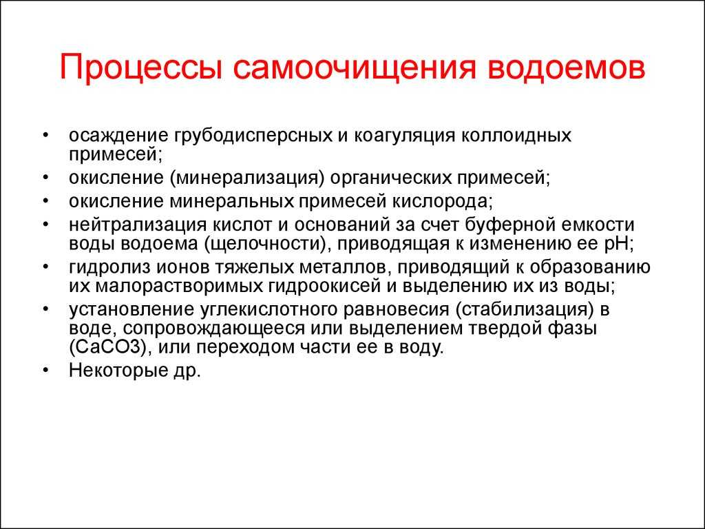 Что такое самоочищение водоема: основные принципы и методы