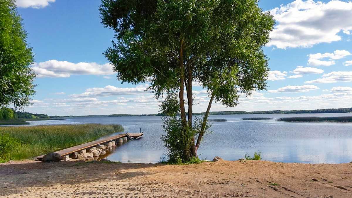 Журнал-путеводитель поезжай-ка! — вокруг озера врево: рыбалка, древнее городище, усадьбы — озера в лужском районе куда можно поехать с ребенком — в отъезде