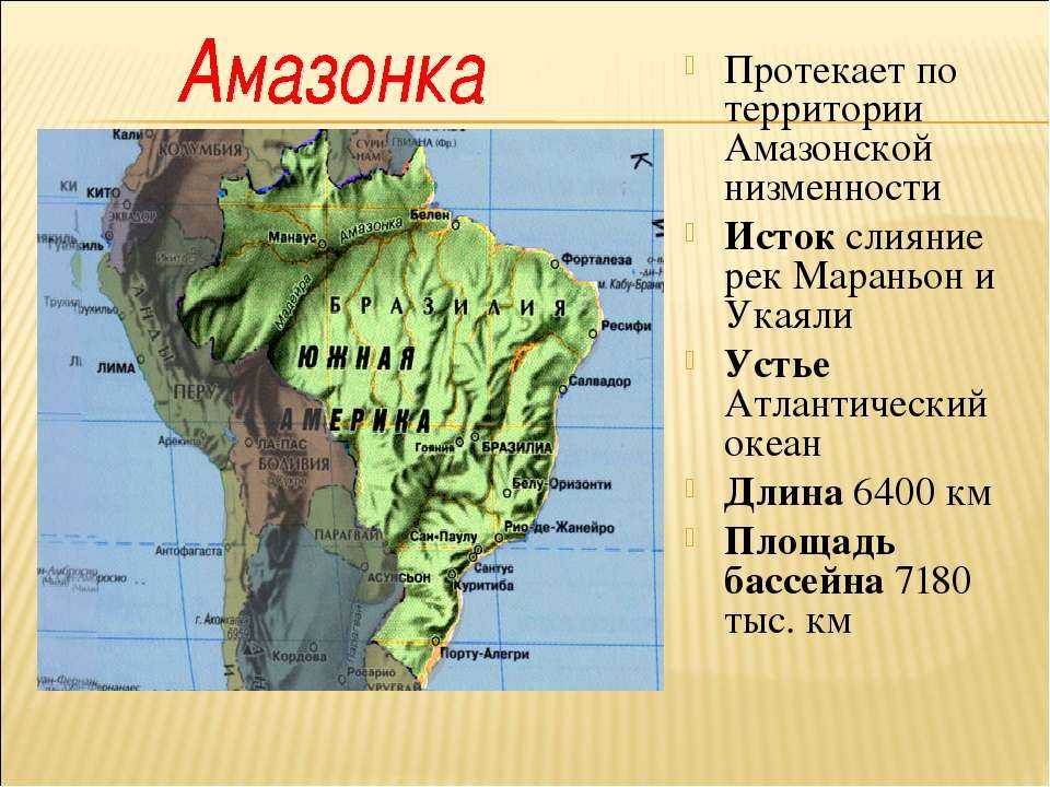 Река амазонка: длина в километрах, приток, кто водится в водах - история и культура