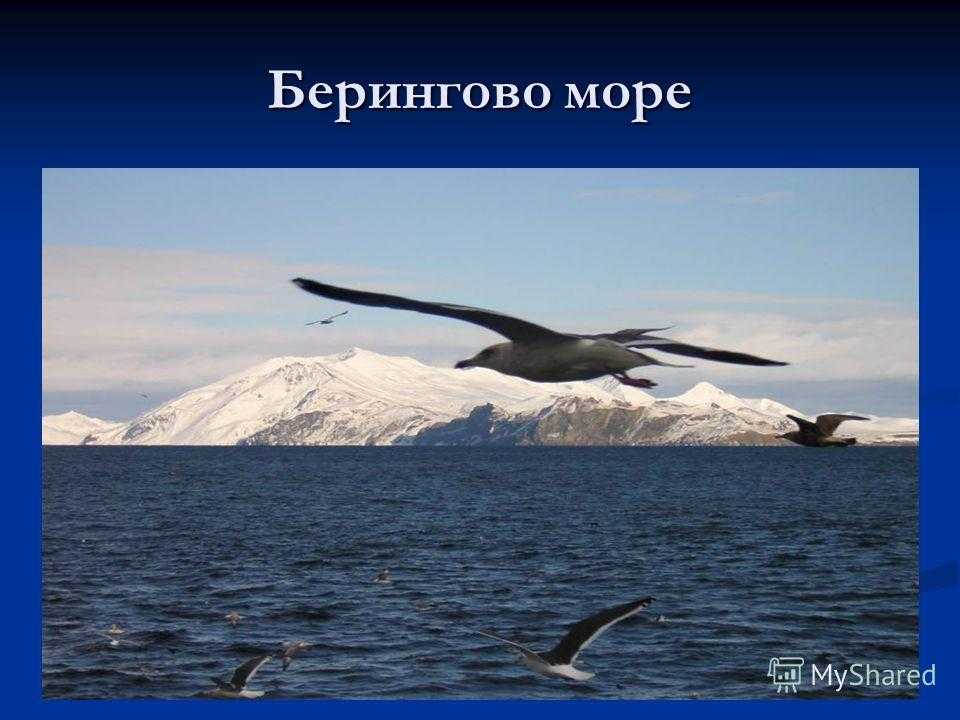 Восточно-сибирское море: где оно находится?