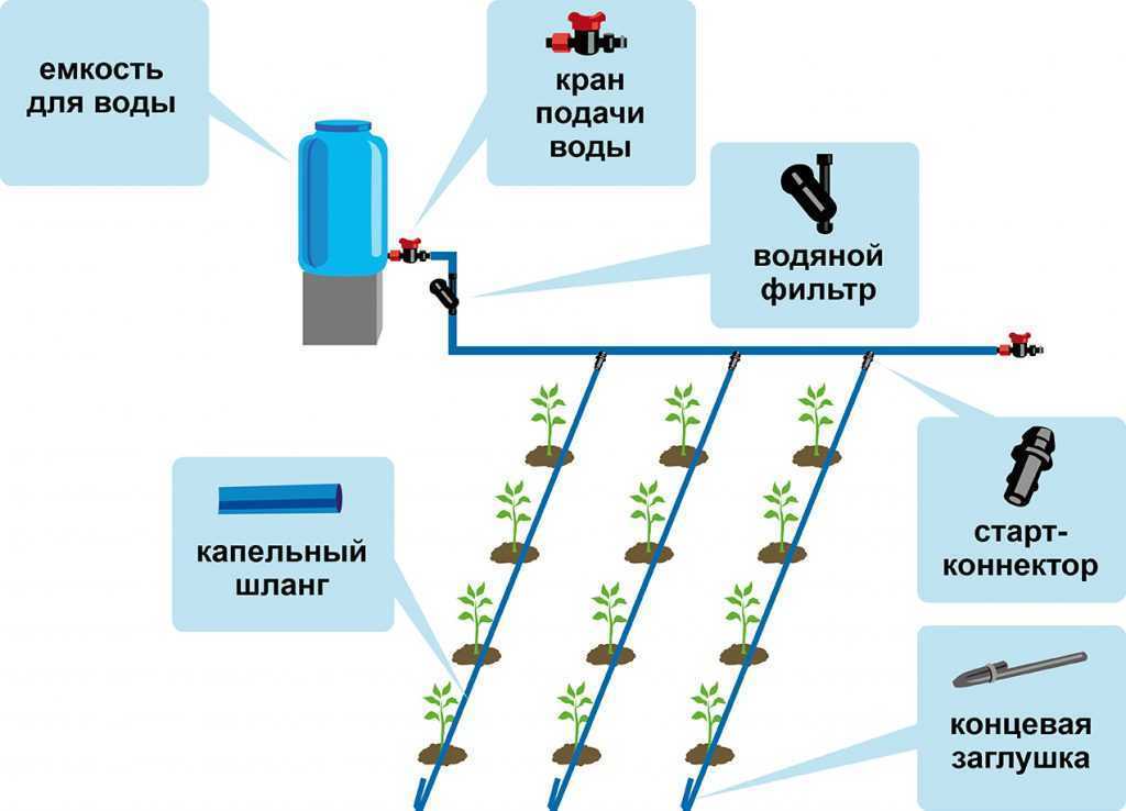Рейтинг систем капельного полива для теплиц