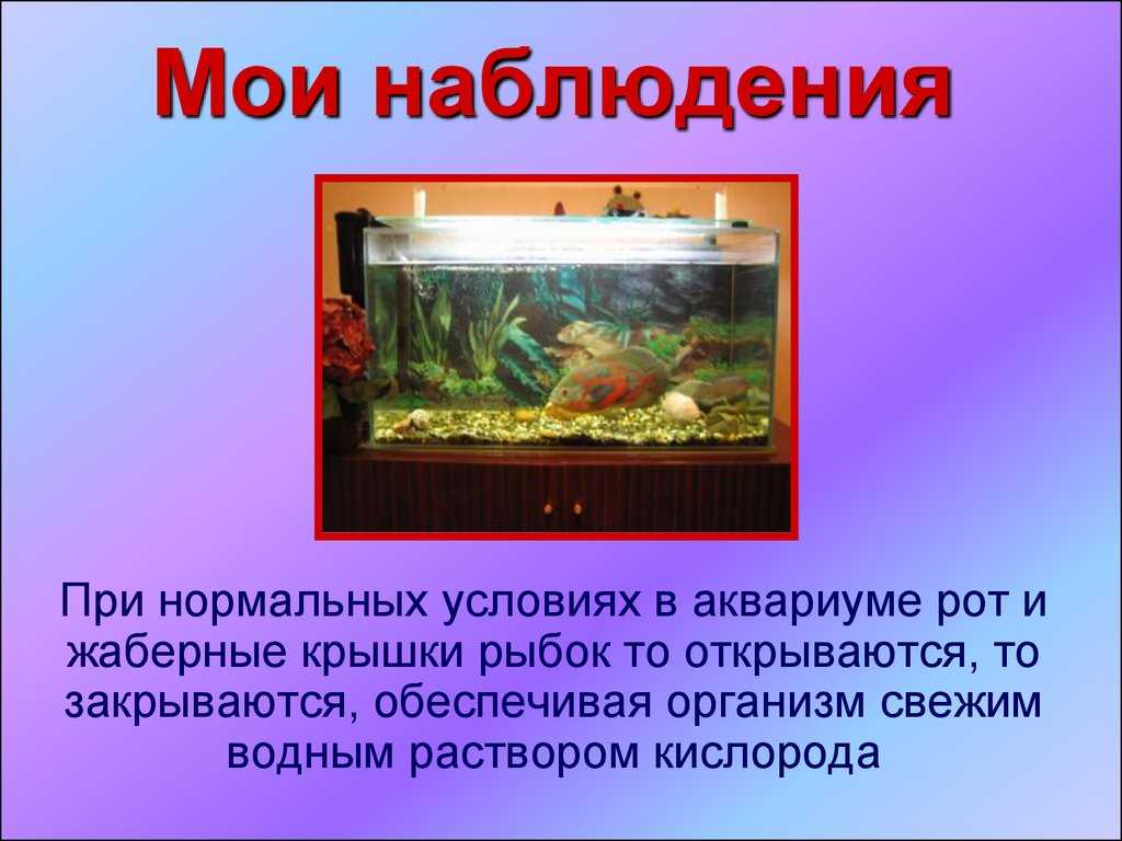 Аквариум | значение | словарь иностранных слов