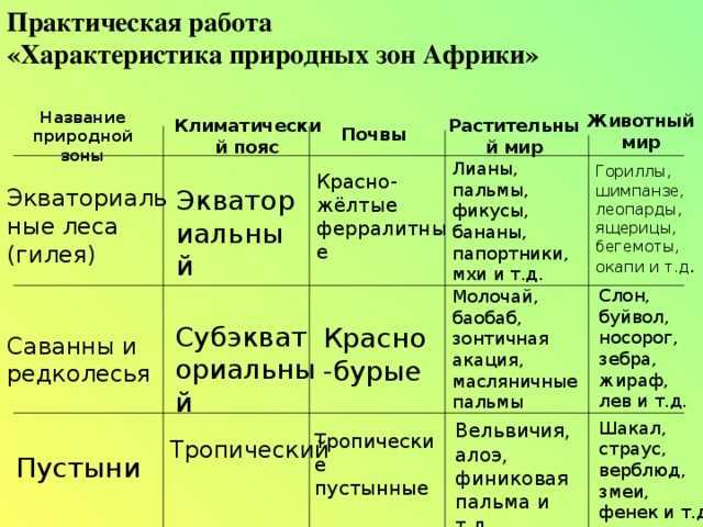 Географическое положение и направление течения реки нигер