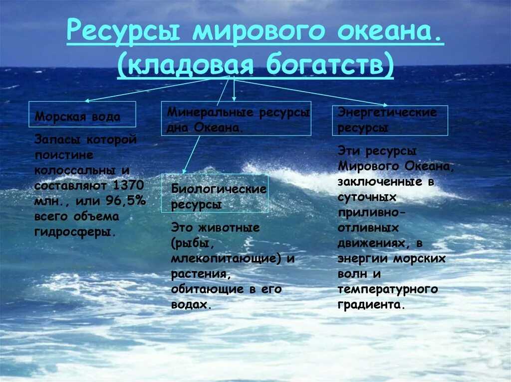 Назад на урок географии: почему в океане вода соленая, а в реках пресная