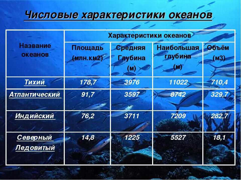 § 56. моря тихого океана