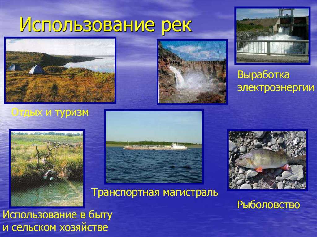 Хозяйственное значение реки лена, енисей, обь, печора, лимпопо, нигер, шуя и других
