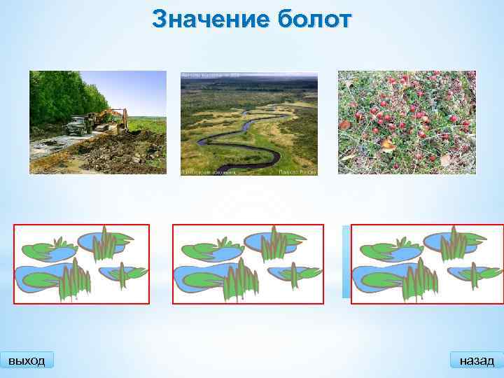 Подземные воды и ледники - интернет энциклопедия для студентов