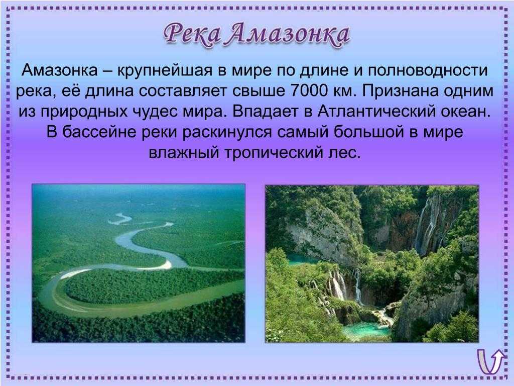 Река амазонка - тайны, загадки, факты