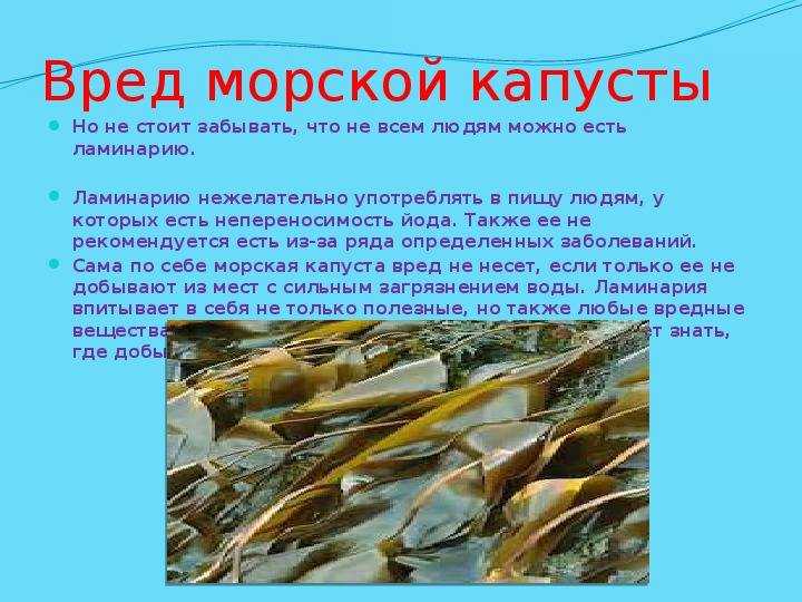 Польза морской воды для человека