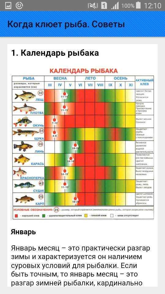 Начало поклева щуки весной - как ловить на спиннинг?