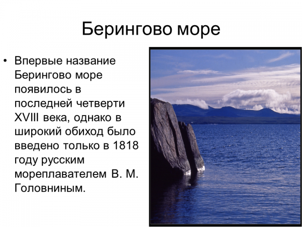 Берингово море: описание, где находится, глубины, флора и фауна