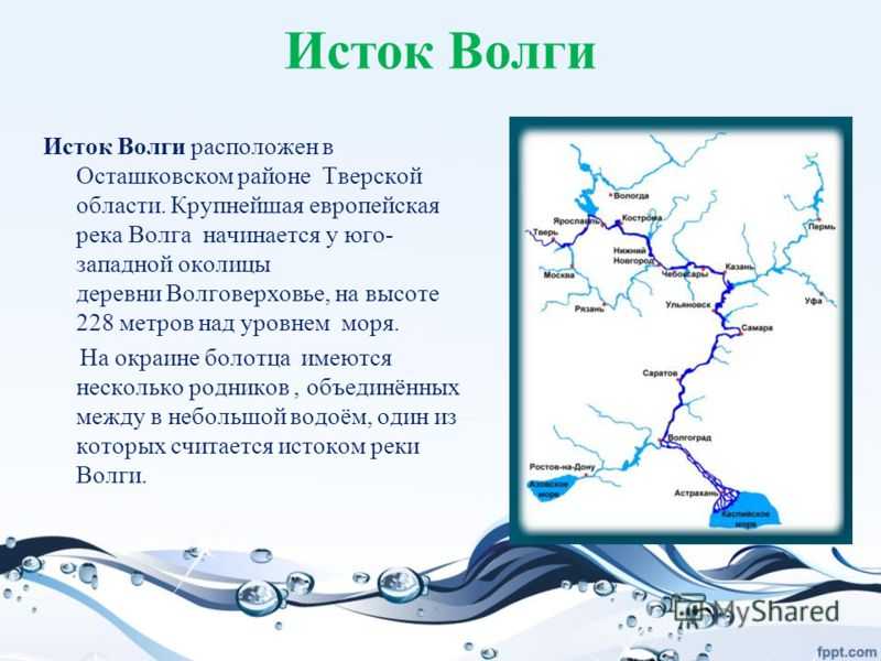 Великая река волга: куда впадает, географическое положение, природа и хозяйственное назначение - tarologiay.ru