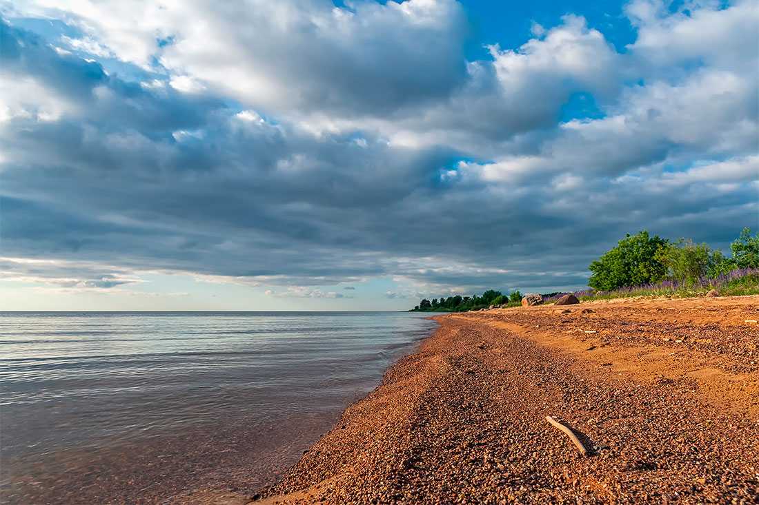 💧чудское озеро: размеры, глубина, площадь, карта, фотогаллерея