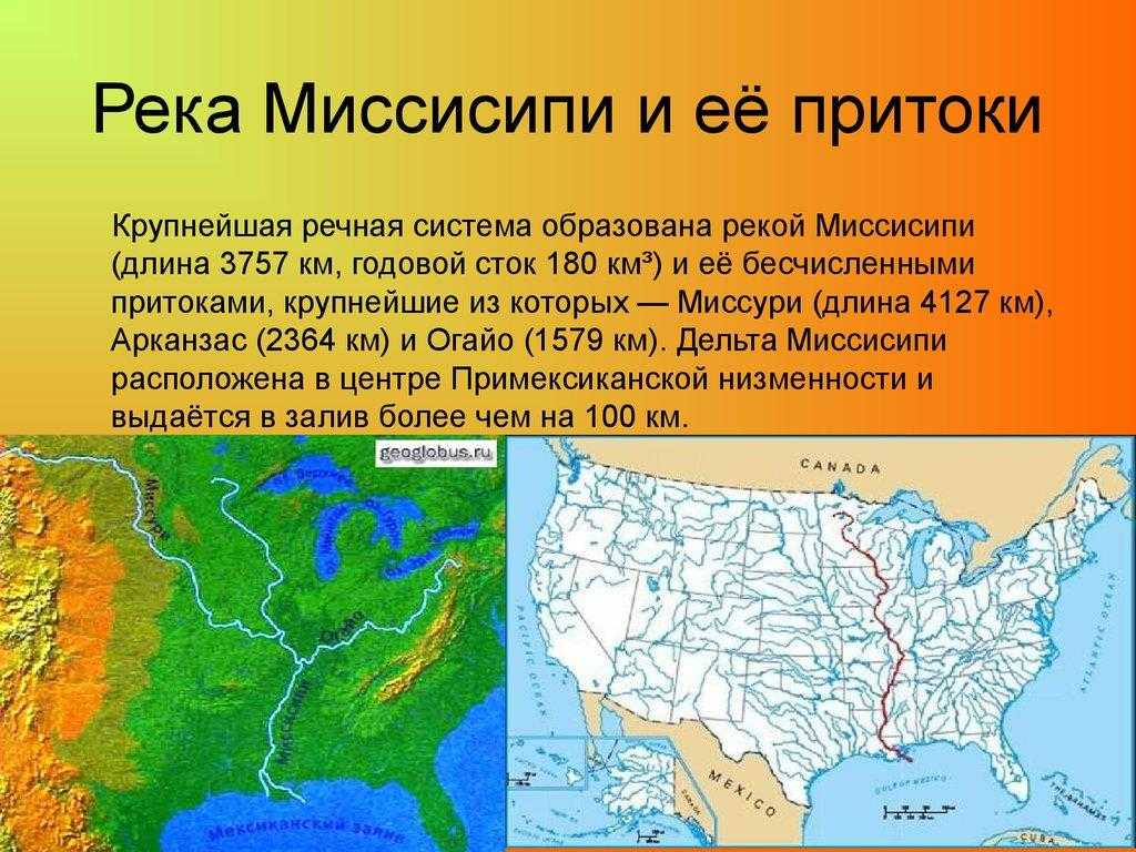 Самые длинные реки в мире: нил или амазонка - какой поток является наиболее протяженным и полноводным на земле?