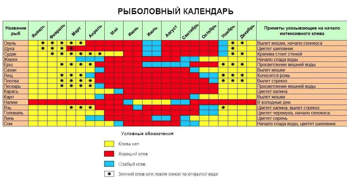 Прелести рыбалки на белом озере