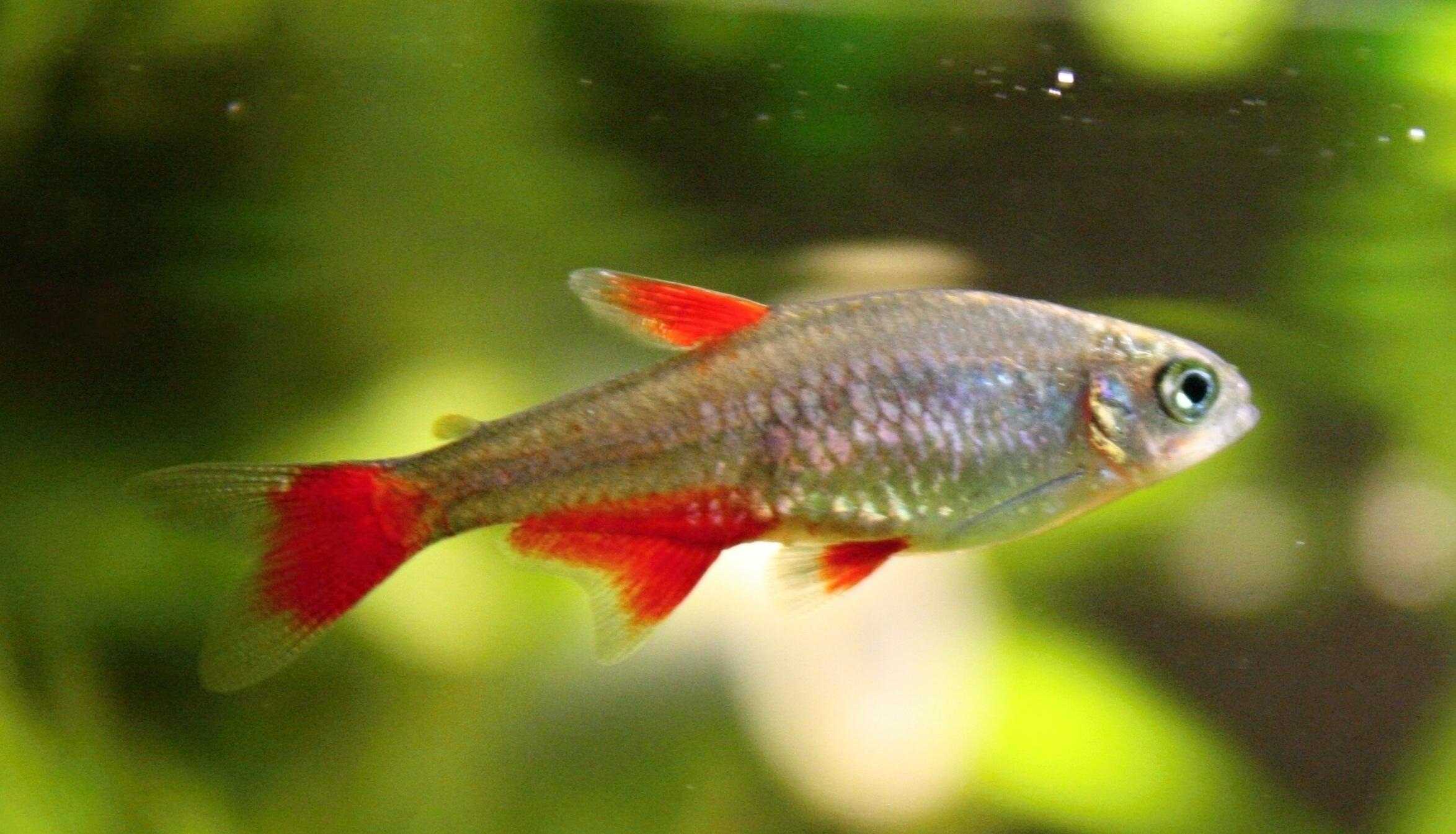Aquadomik.ru