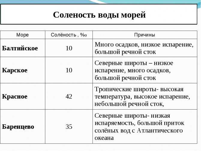 Почему вода в море соленая? откуда берется соль? - gkd.ru