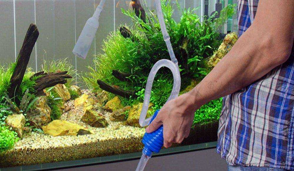 Вода для аквариума и её подготовка: 5 этапов подготовки