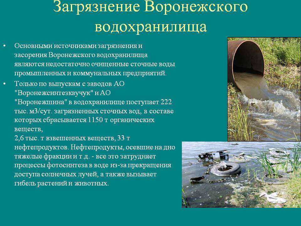 Ивп ран выявил более 20 типов неизученных источников загрязнения волги