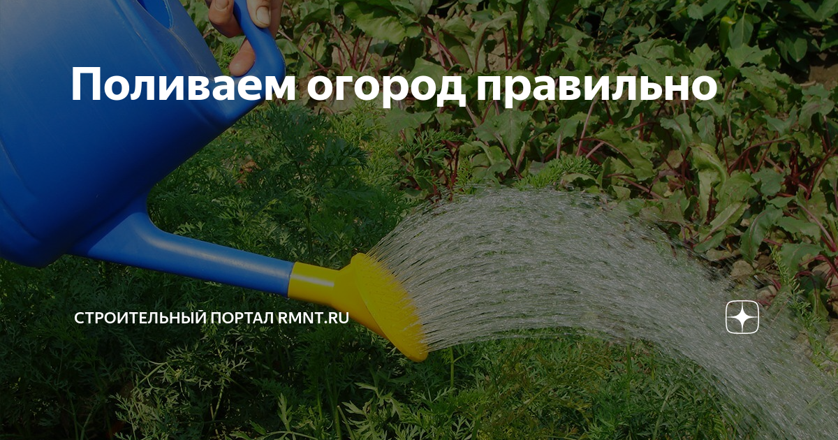 Можно ли поливать растения холодной водой из скважины или колодца