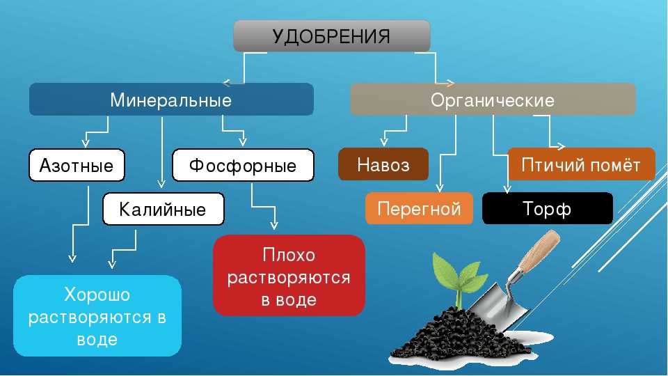 Как использовать кефир на огороде на даче