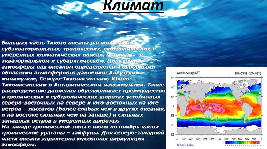Тихий океан: 8 основных характеристик, границы, интересные факты
