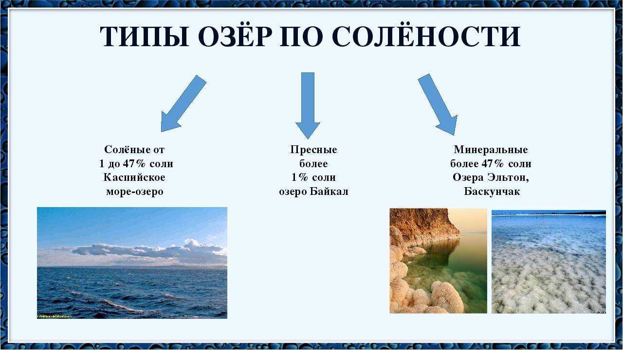 Озерность
, том 2 @ национальный атлас россии