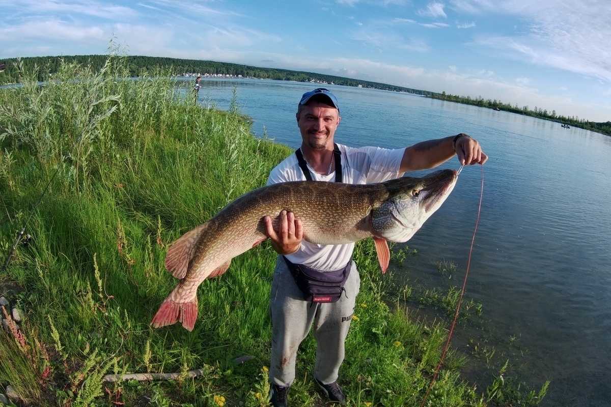 Щекинское (советское) водохранилище