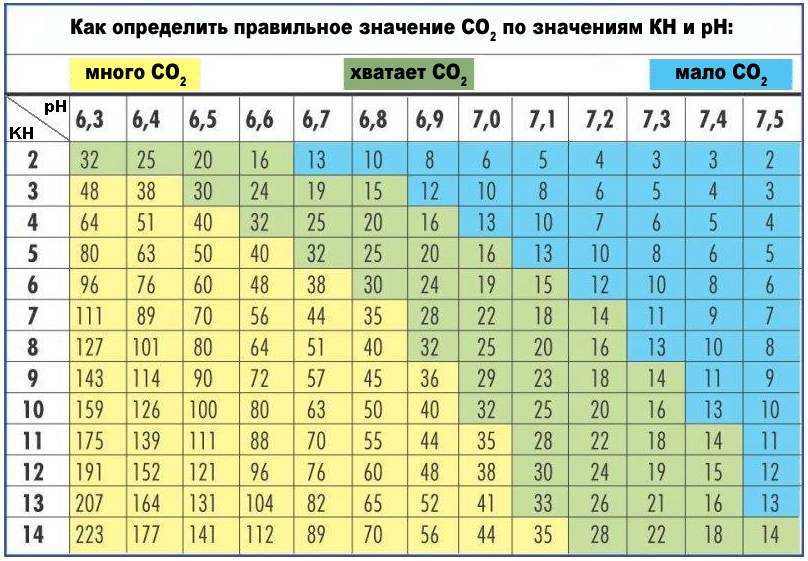 Статьи аквариумы