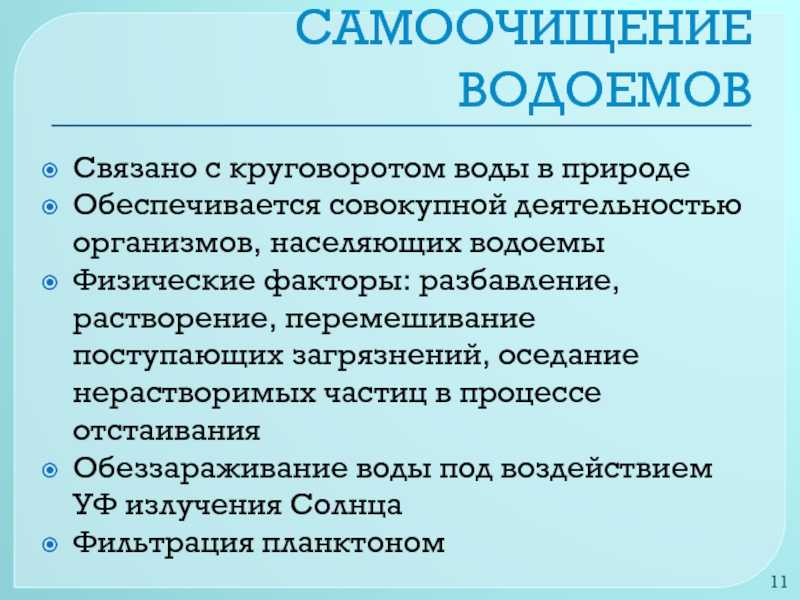 Самоочищение водоема: принципы и методы