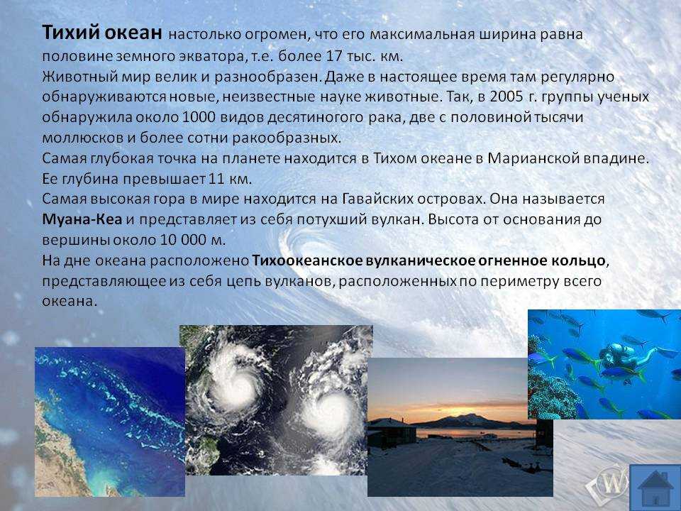 Рассказываем про особенности Тихого океана, рельеф, дно, природа и многое другое
