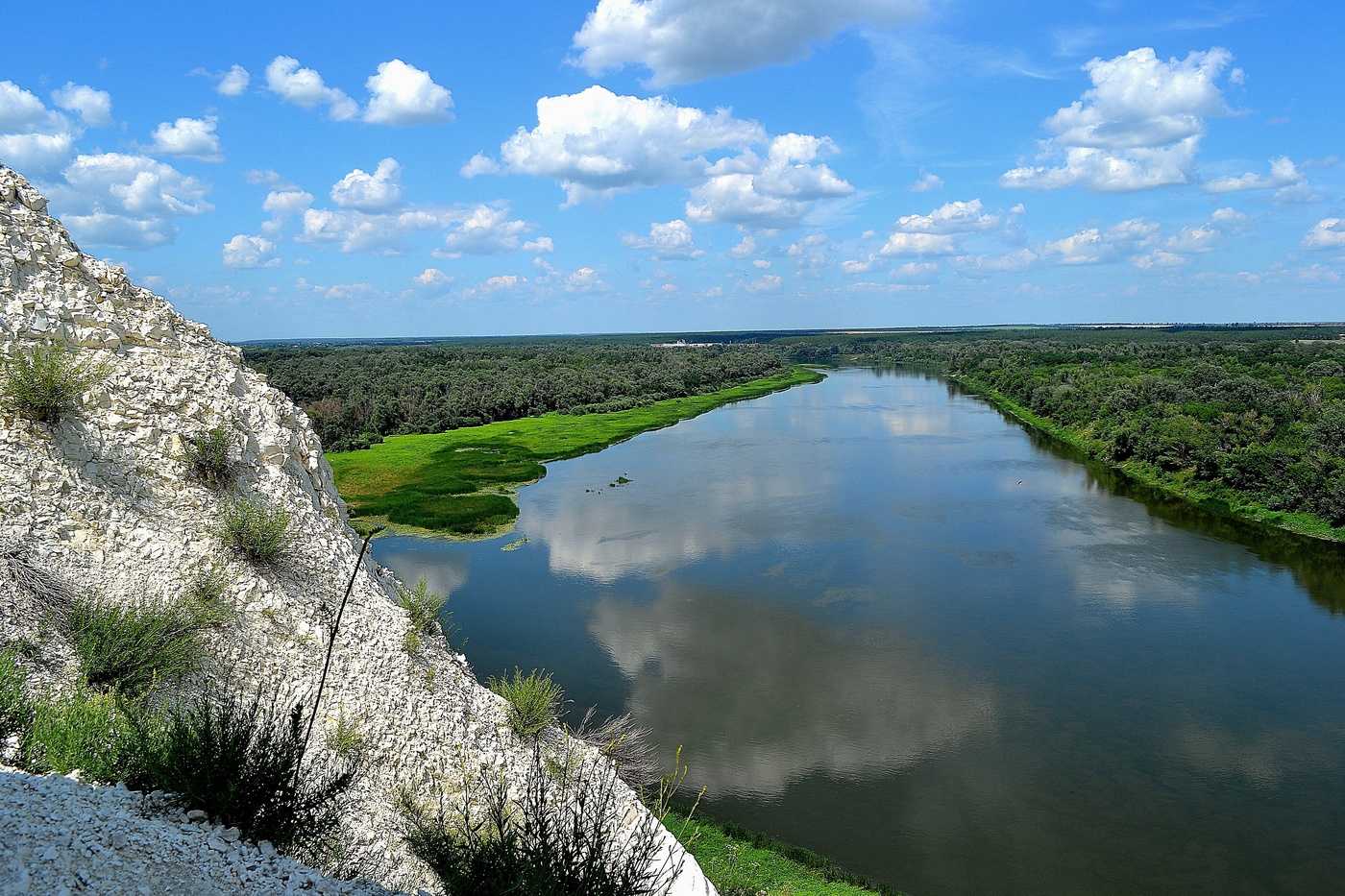 Река дон. исток, русло, флора, фауна, использование
