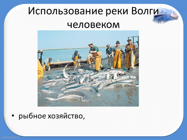 Хозяйственное использование реки волги, какое значение имеет для промышленной деятельности человека, возможности в туризме и рыболовном хозяйстве