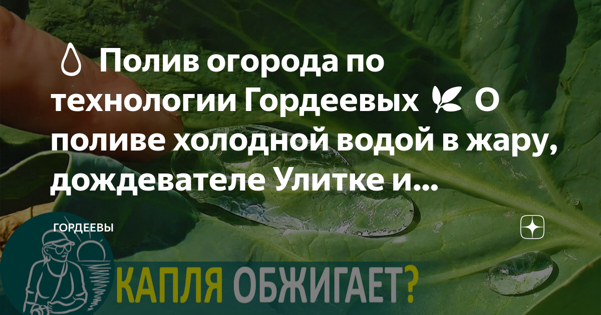 Как часто поливать огород в зависимости от различных факторов