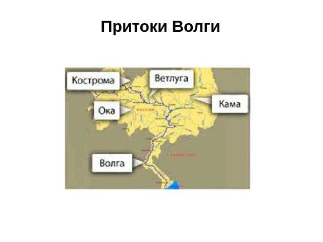Река волга — где и как ловить рыбу