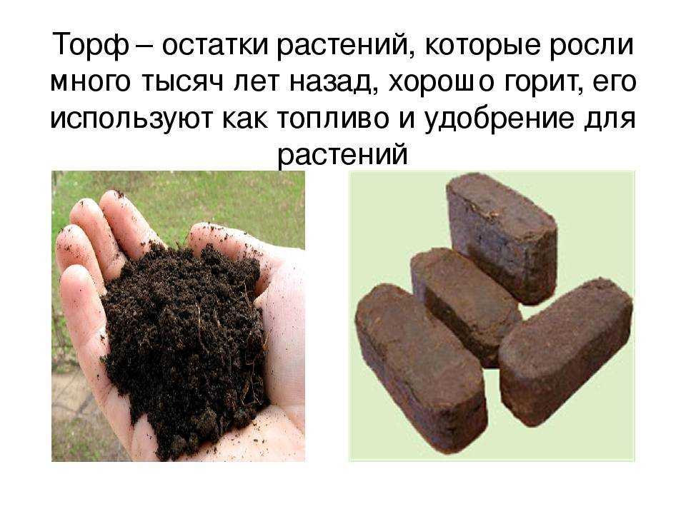 Чёрный турмалин (шерл) ? — маг и целитель