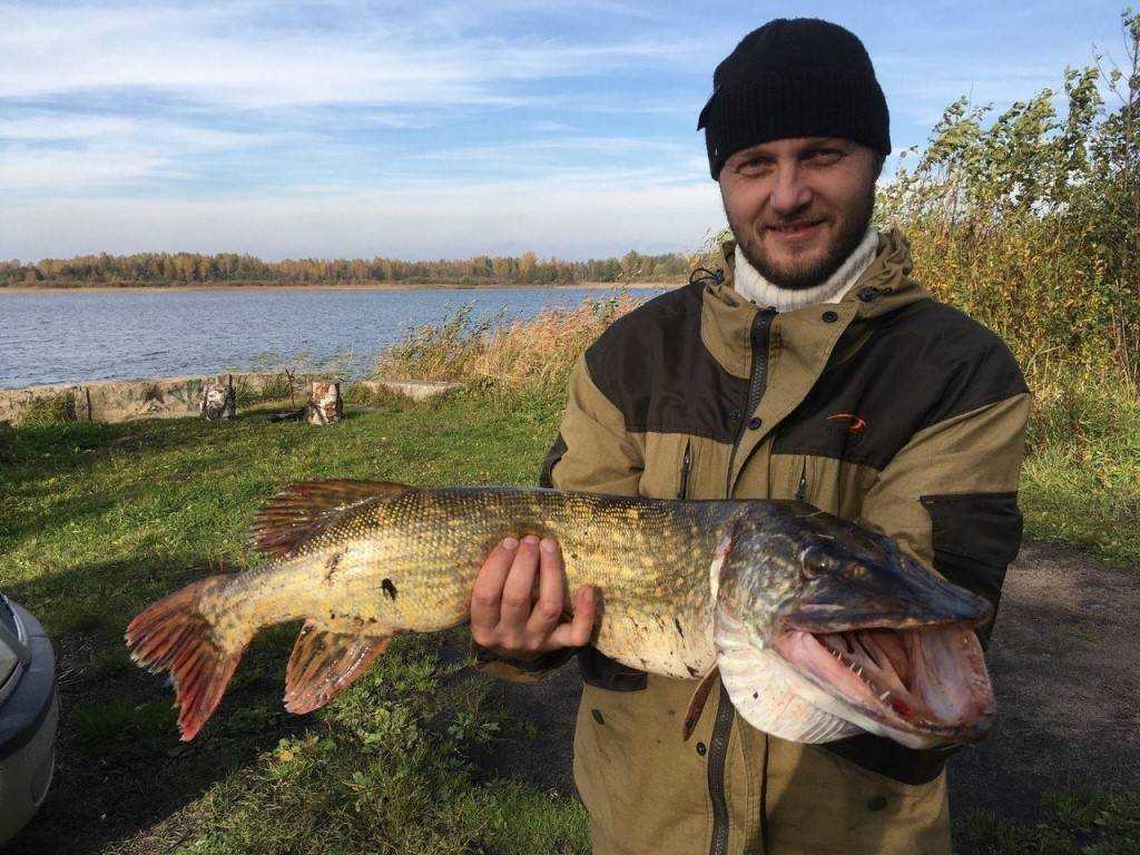 Большое симагинское озеро, ленинградская область. рыбалка, отдых, озеро на карте, фото, как добраться