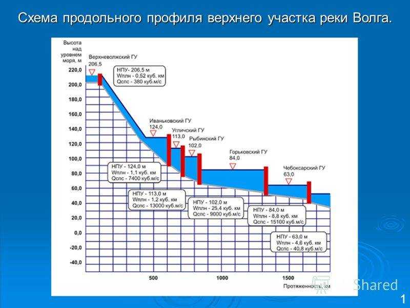 Река амур