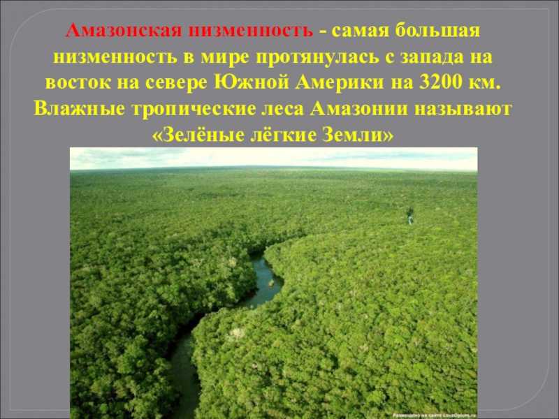 Презентация на тему "амазонская низменность"