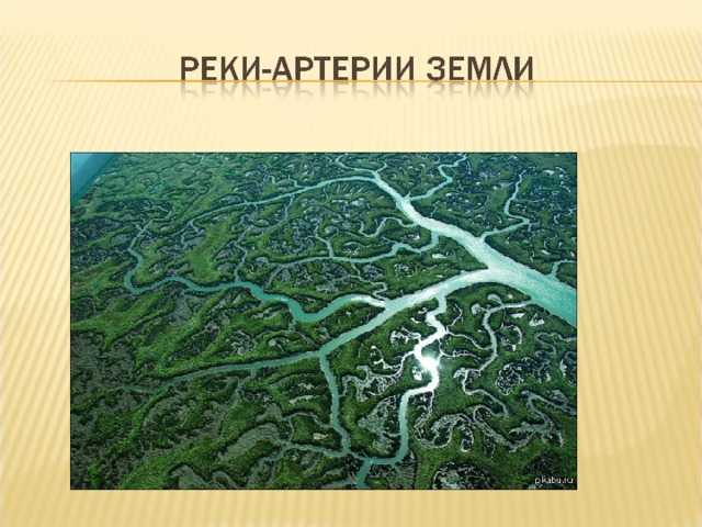 Режим реки днепр кратко
