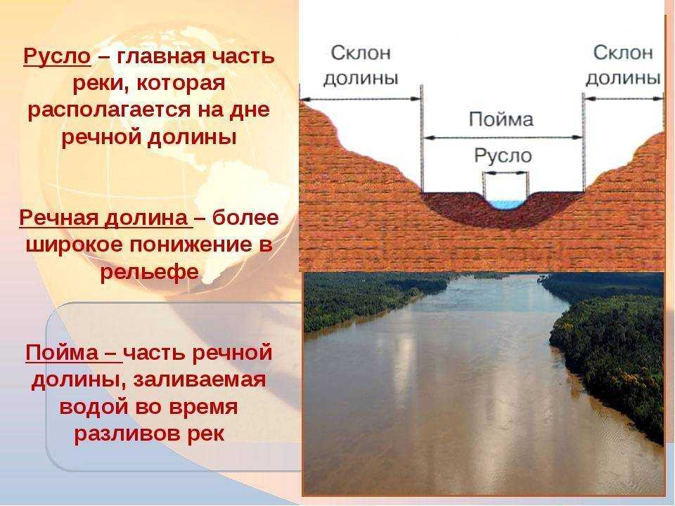 Что такое пойма реки (в географии)? виды речных пойм