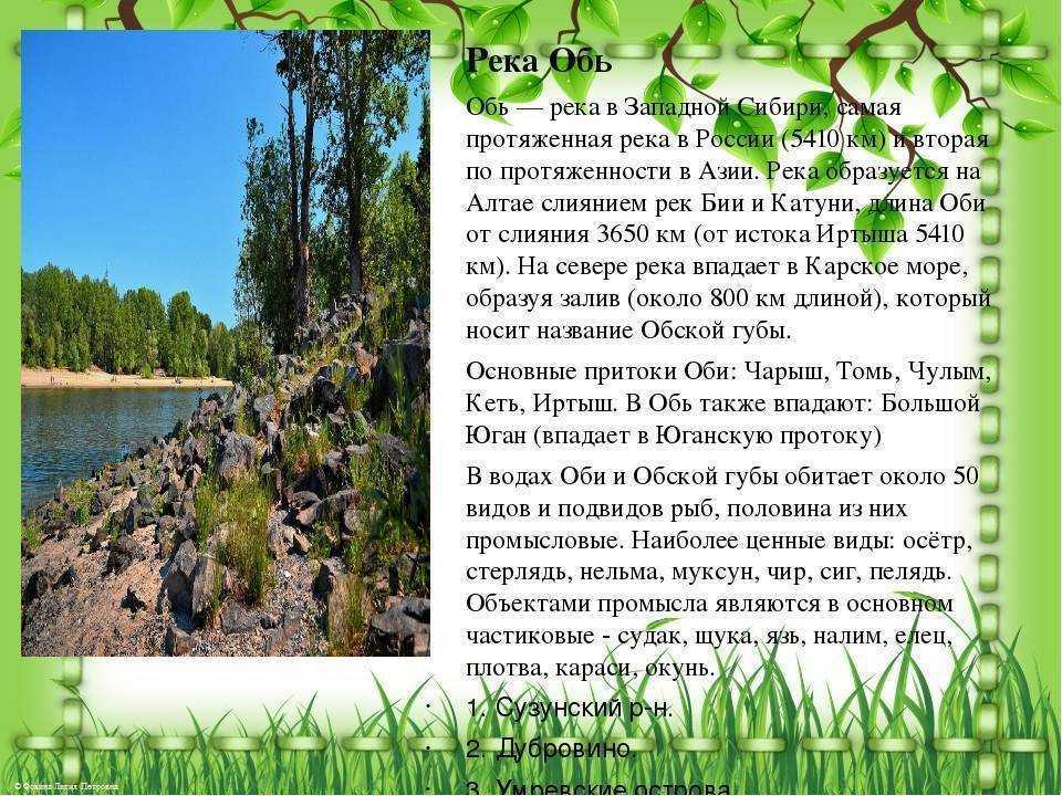 Река обь ? географическое положение, характеристика течения и бассейна
