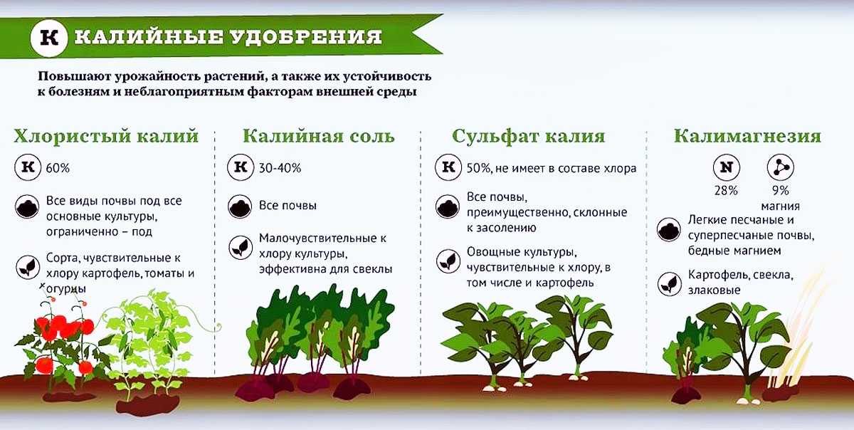 Корневые удобрения для аквариумных растений: виды, как выбрать, использовать