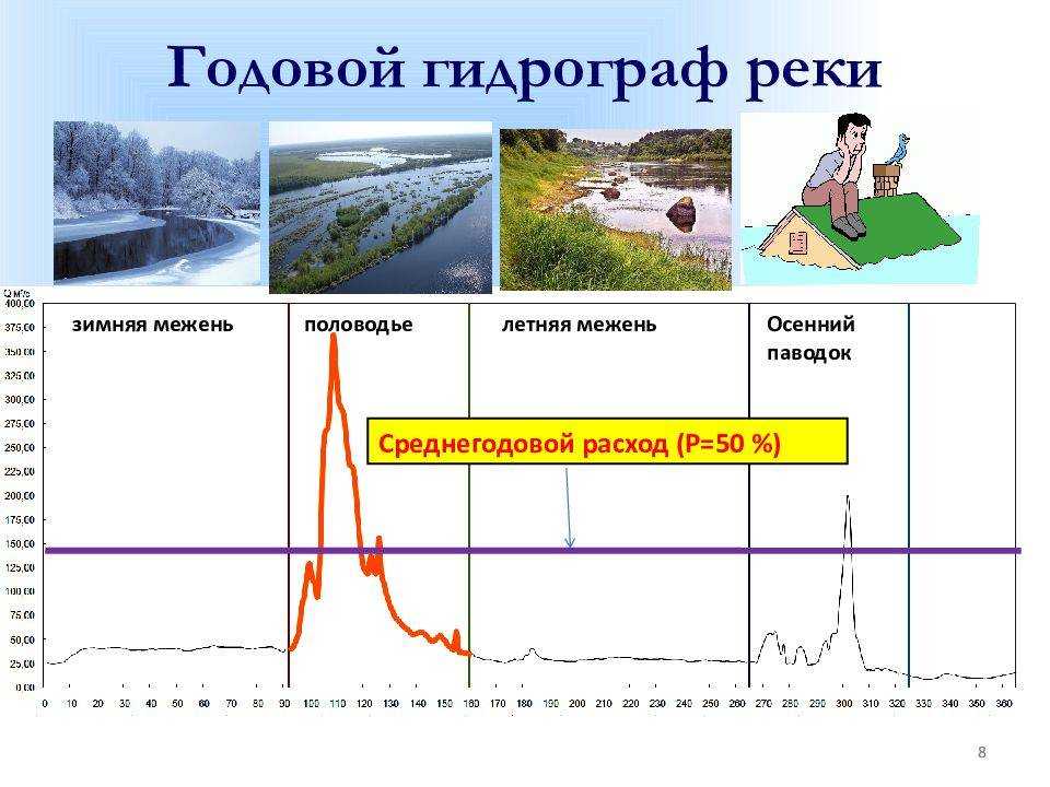 Река амур сообщение интересные факты
