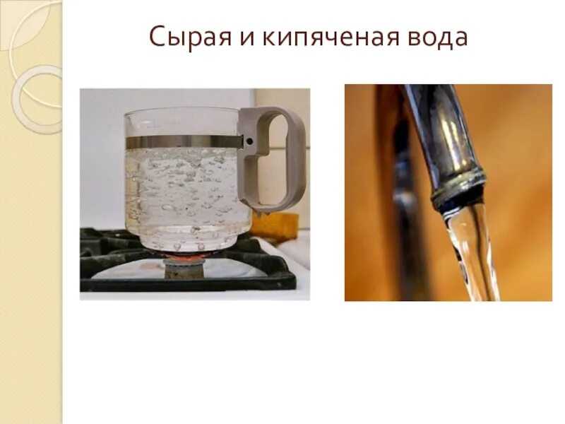 Почему садоводы рекомендуют поливать цветы теплой кипяченой водой