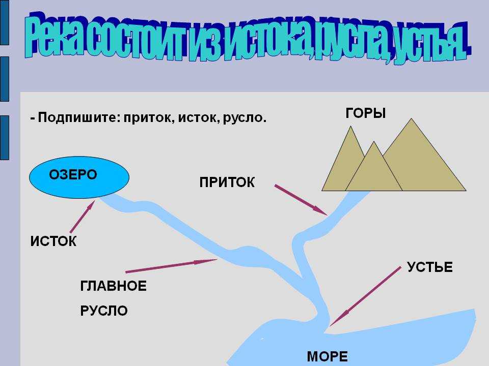 Части реки и их определения. что такое река? части реки и их определения элементы рек и течения