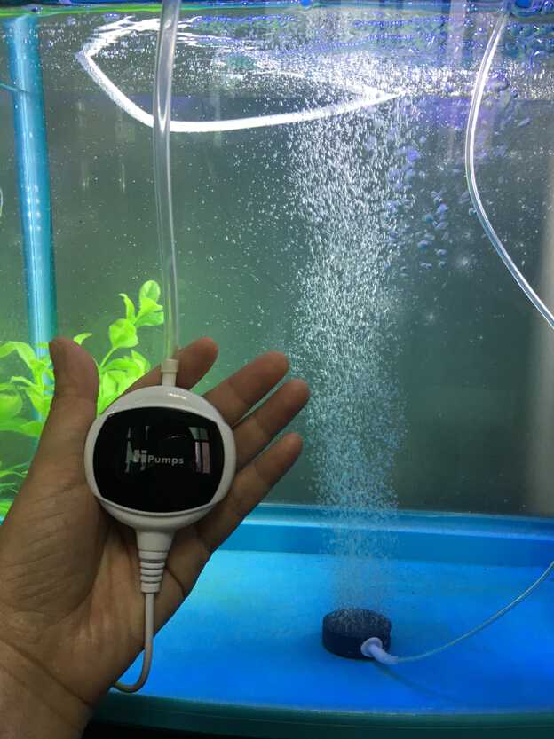 🐟в 2024 году оснащаем аквариумы лучшими компрессорами