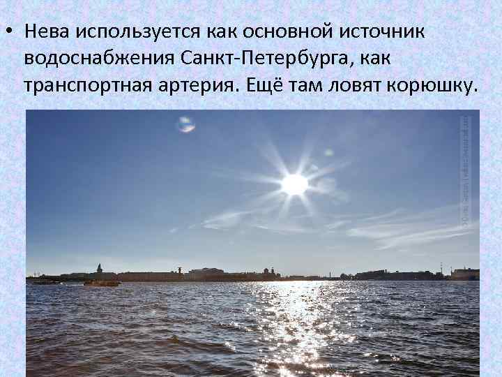 Река нева в санкт-петербурге